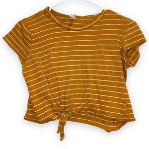 Stipend mustard crop top